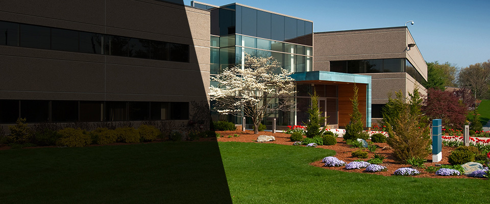 Pine Grove Landscapers