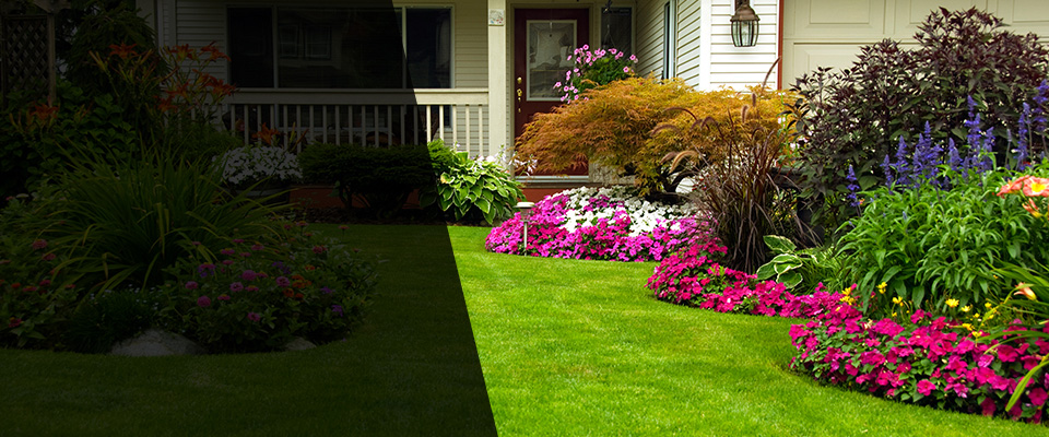 Pine Grove Landscapers