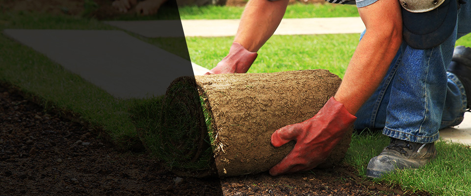 Pine Grove Landscapers